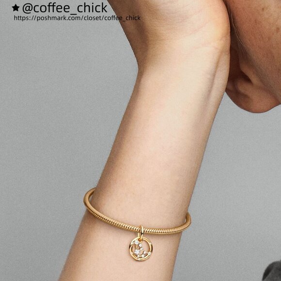 Pandora Aquarius Zodiac Dangle Charm - Picture 5 of 6